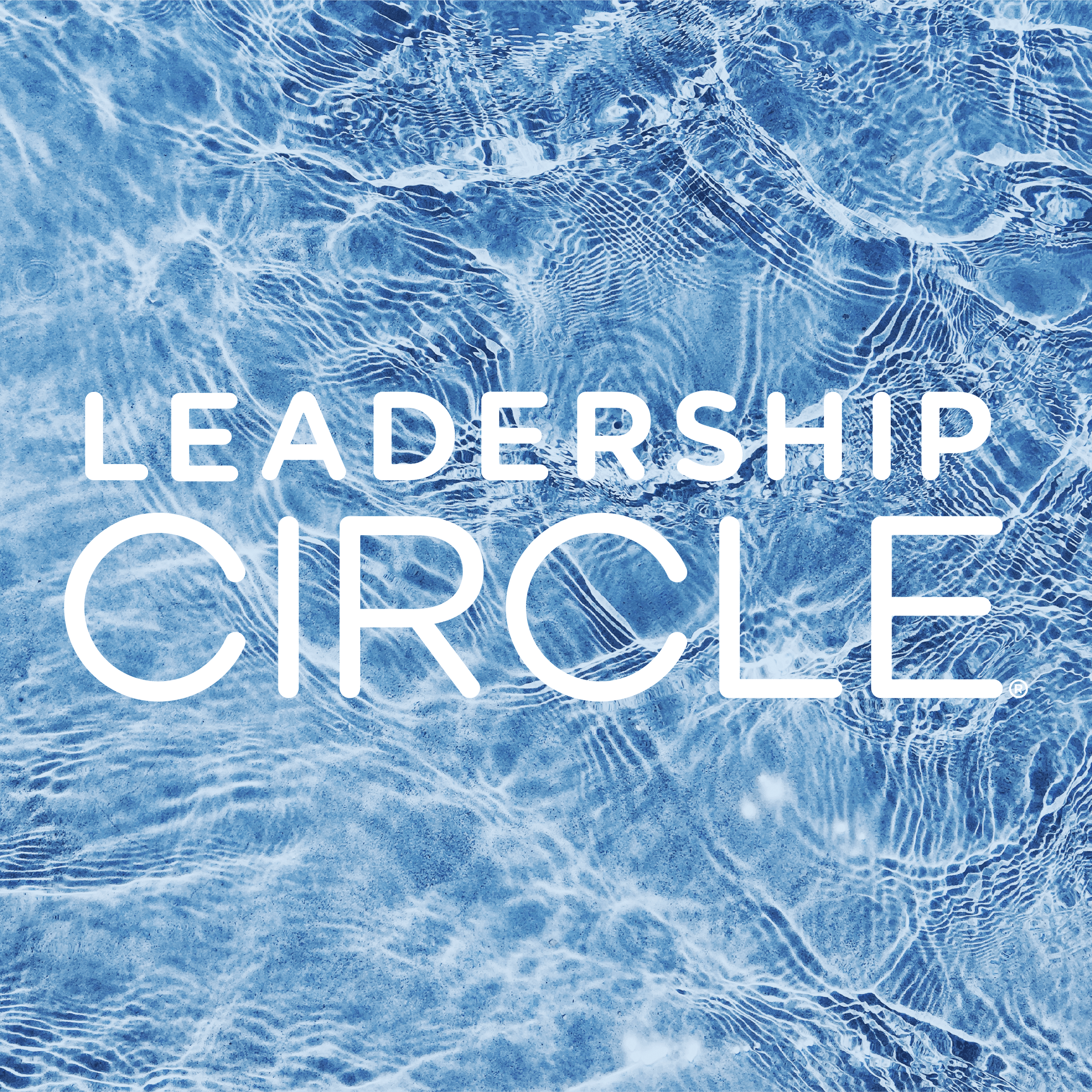 Leadership Circle Raises M to Become A Full-Service Leadership Development Platform